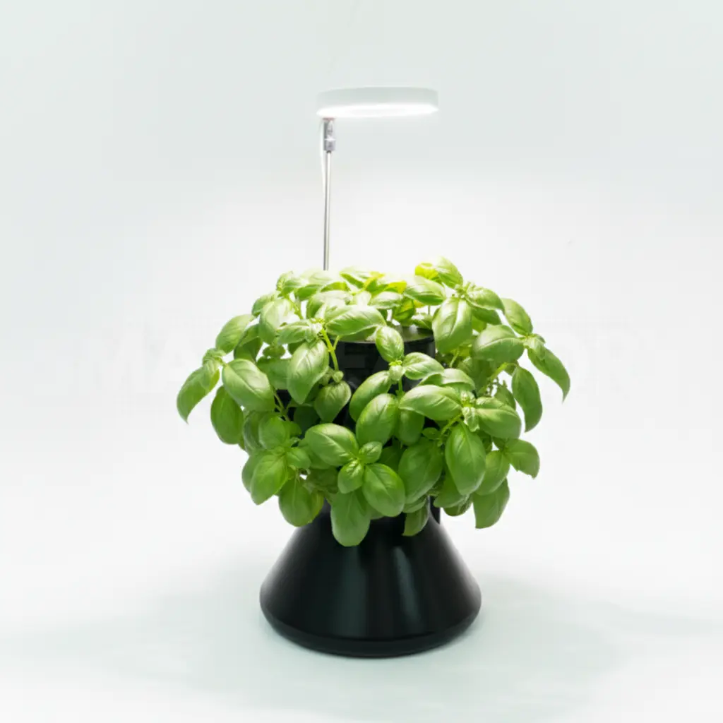 minigarden-todohydro-todohidro-wm-3-light.webp